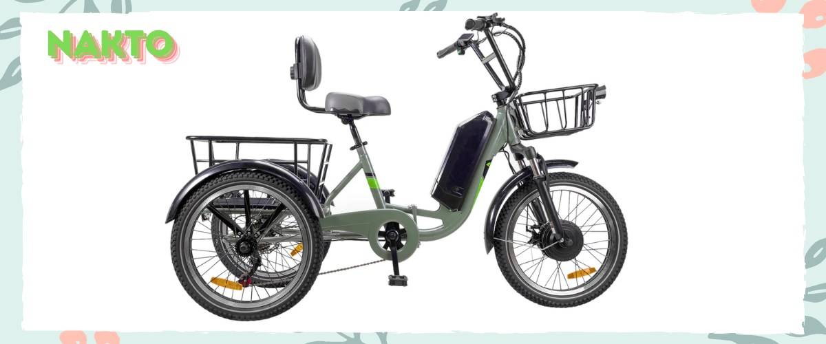 What Is the Best 3 wheel Electric Bike for Adults